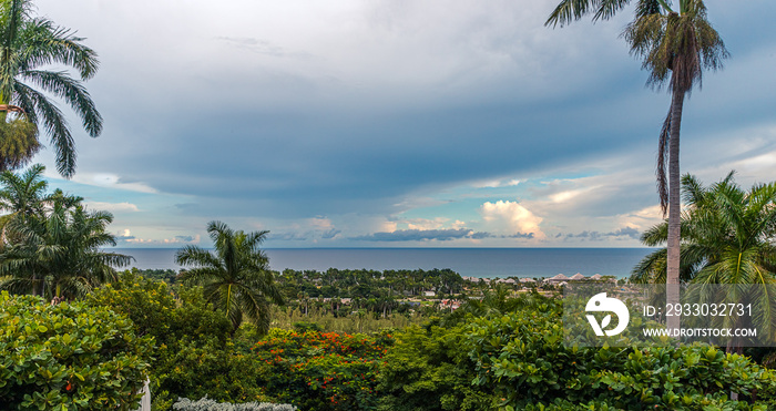 Scenic view lowers plants and trees and the ocean in Montego Bay, Jamaica.