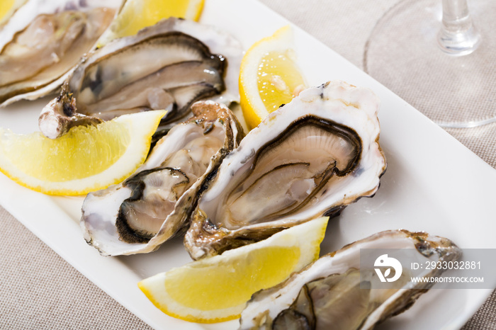 Gourmet raw oysters on white plate with sliced lemon