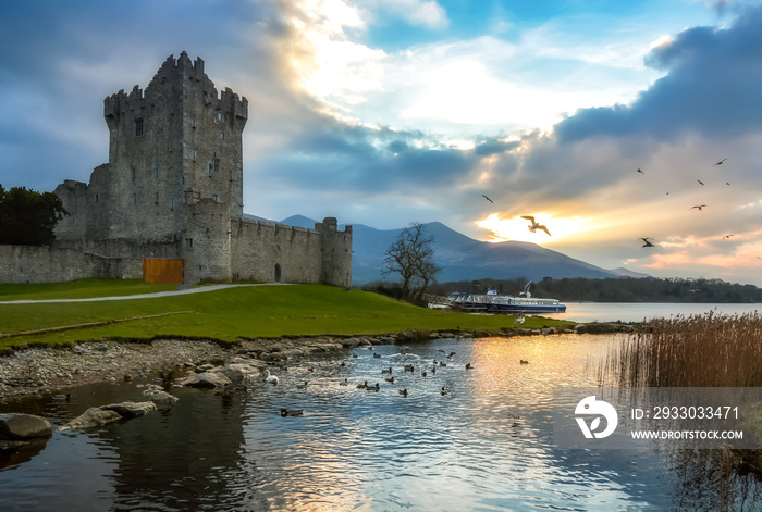 Ross Castle Killarney Kerry Ireland medieval reflection bird seagull