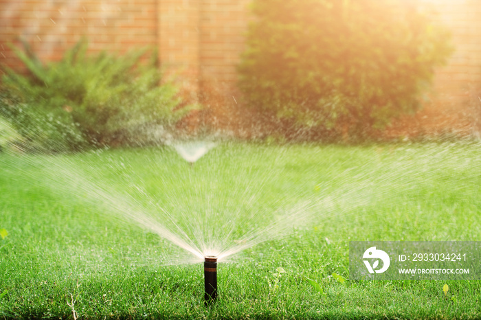 Green grass being watered with automatic sprinkler system sunny day