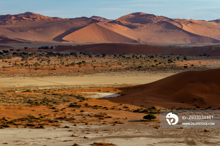 Red sanddunes of the Sossusvlei area in the Namib-Naukluft National Pak in Namibia at sunrise