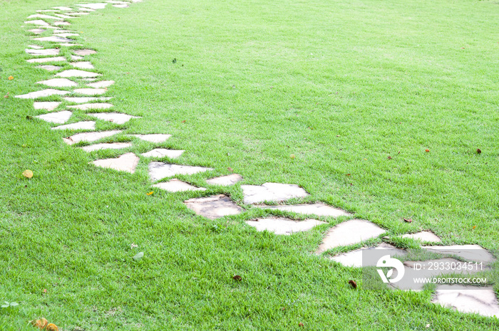 Stone path on green grass