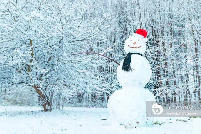 snowman in center of frozen city park