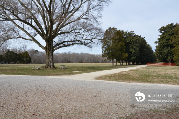 gravel road and path and trees with grass and benches