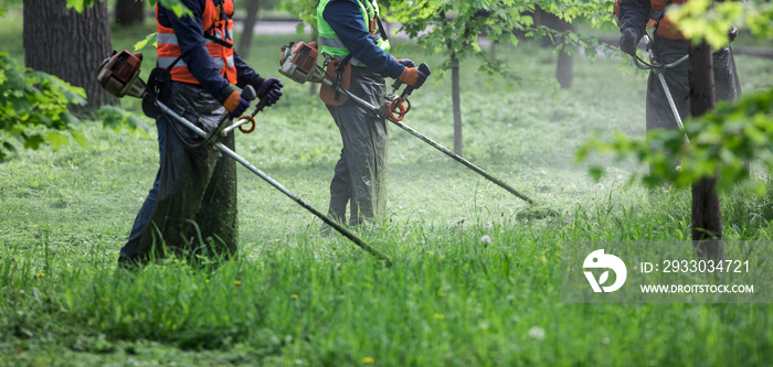 lawnmower with mowing trimmer mows the lawn