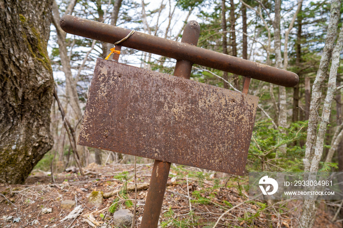 三ツ峠山登山道の風景 A view of the Mt. Mitsutoge trail