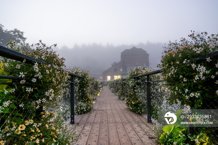 Brume sur la Bretagne à la Gacilly