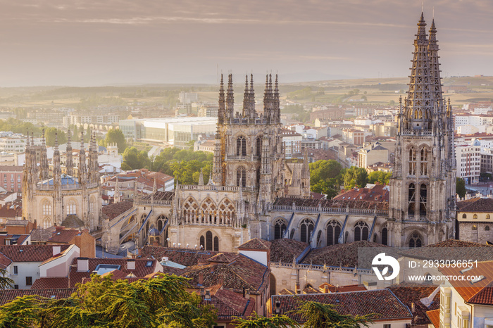 Burgos Cathedral on Plaza de San