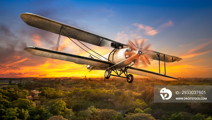 Ancient airplane over rural scene