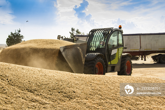 small loader of grain from a pile