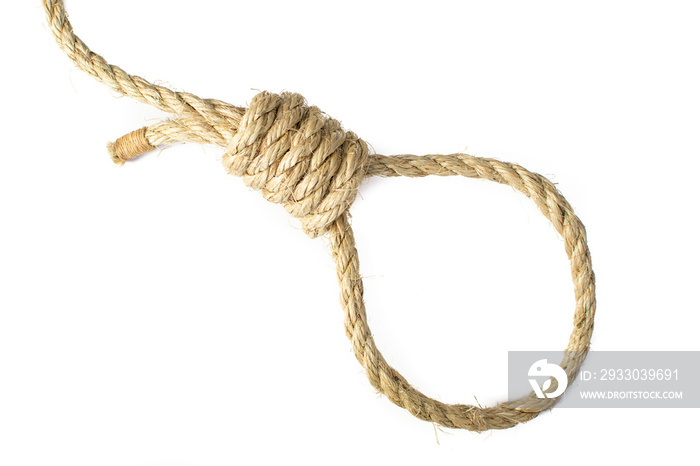 Noose tied in natural Sisal Rope, isolated high key.