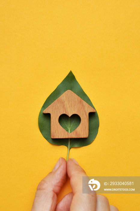 A wooden house on a leaf of a plant in the hands of a man. A symbol of environmentally friendly housing