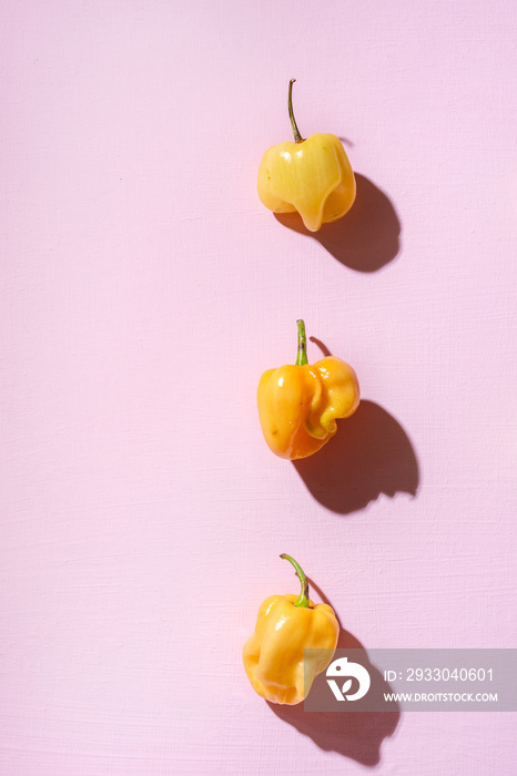 orange habanero peppers on pink background