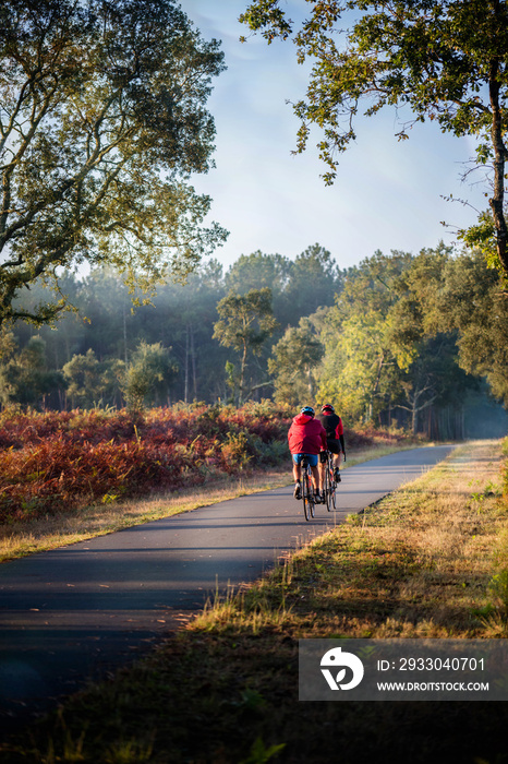 vélo sur les pistes cyclables dans les landes