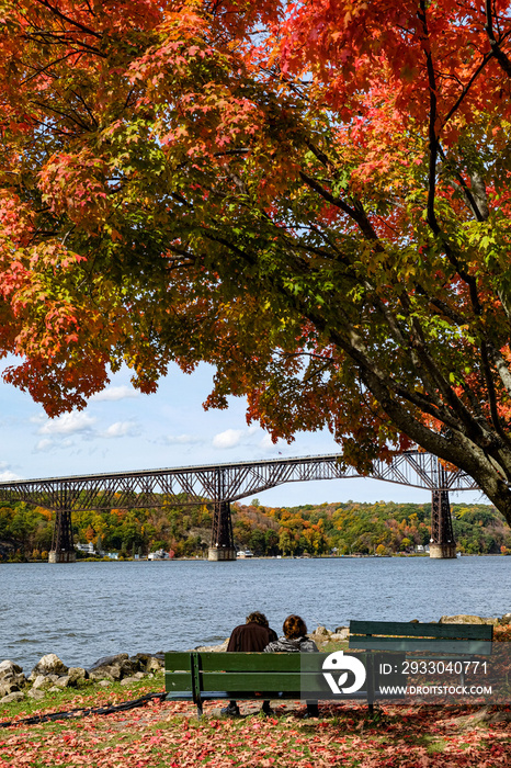 Colorful foliage with bridge background