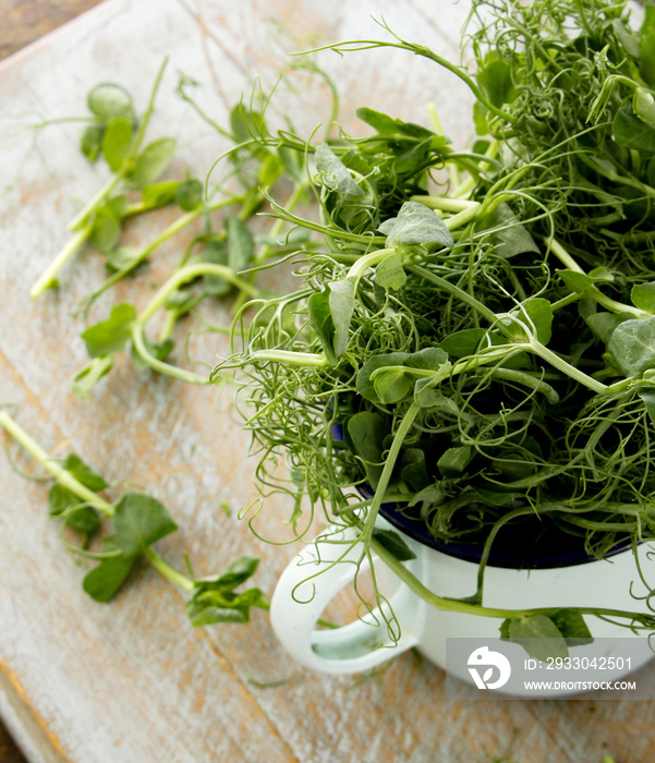 preparing fresh pea shoots