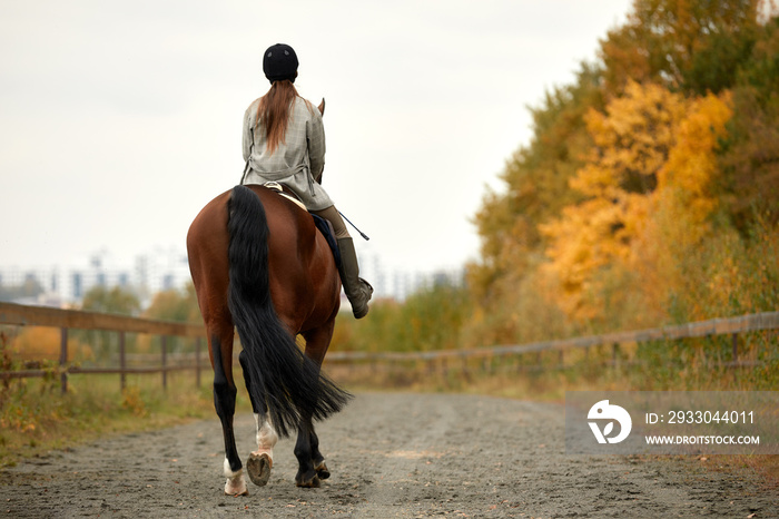 Beautiful brunette on a horse on the background of an autumn landscape. Horseback riding, active horseback riding