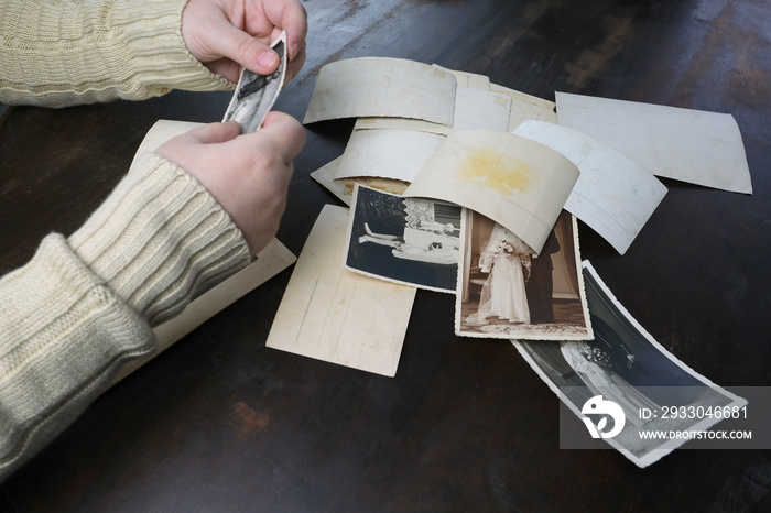 female hands fingering old photographs of 1950s, vintage monochrome photos, concept of genealogy, memory of ancestors, family tree, nostalgia, childhood, remembering