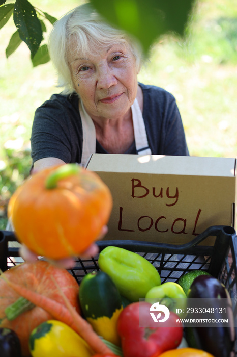 An elderly gray-haired woman sells fresh seasonal vegetables at a local farmers’ market. Buy local agricultural products