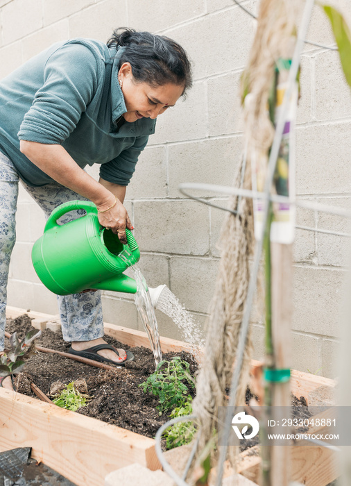 South Asian woman gardening in backyard