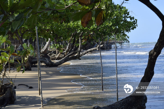 island of Boipeba, Cairú, Bahia, Brazil