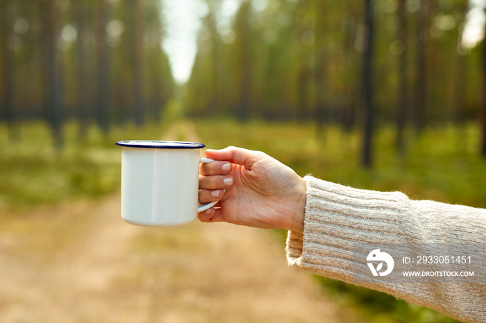 picking season, leisure and people concept - hand of woman with white tea mug in forest