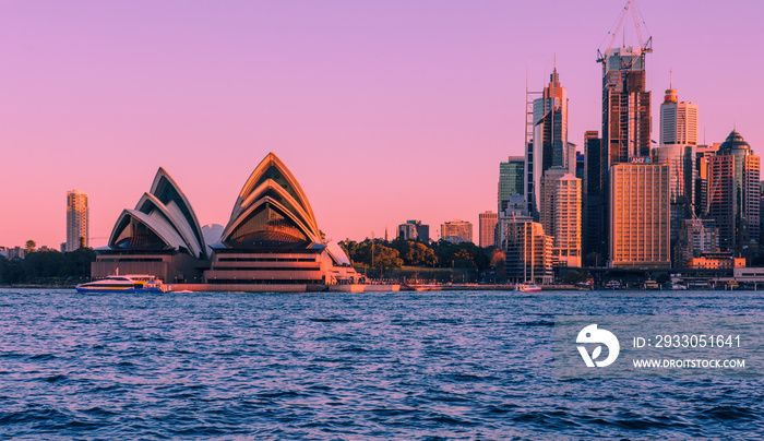 Sydney harbour under magenta skies