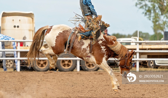 Cowboy On Bucking Bronco At Rodeo