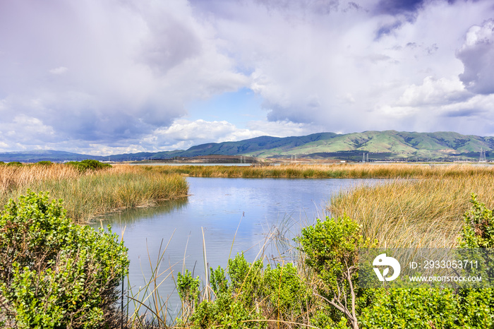 Wetlands in the South San Francisco Bay Area on a stormy spring day; Diablo Range mountains visible in the background; San Jose, California