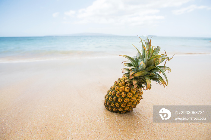 Fresh pineapple fruit on a tropical sandy beach