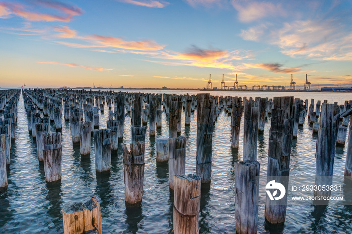 Old wooden pylons of historic Princes Pier in Port Melbourne