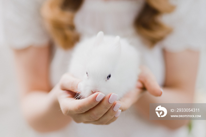 Modern bridal fashion. Closeup of bride holding a cute white rabbit in her hands.