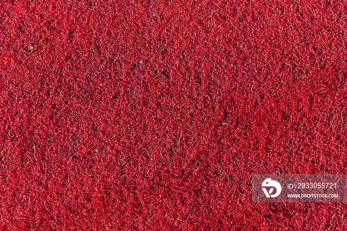 Red plastic synthetic artificial grass background texture which is used on child playground areas and as a gym turf and also sports fields, stock photo image