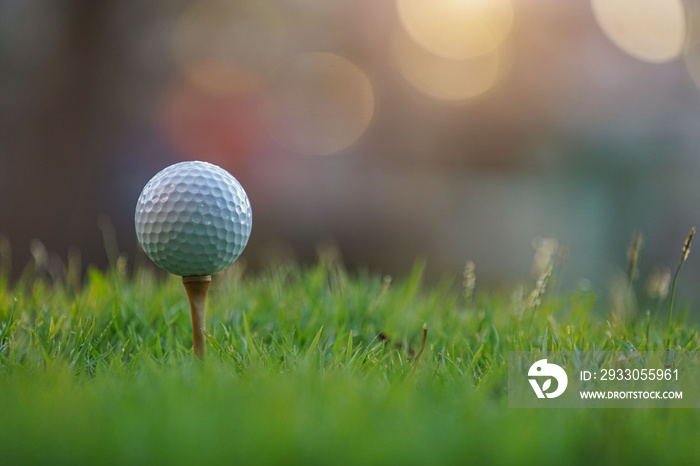 Golf ball on tee ready to play.