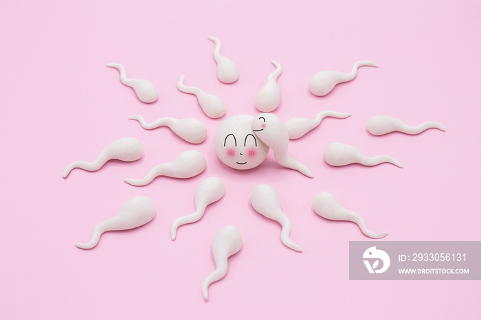 Handmade Polymer Clay Figure of Human Sperm Impregnate a Fertile Human Egg