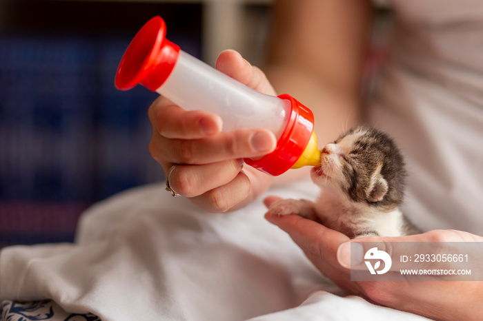 Woman bottle-feeding a kitten