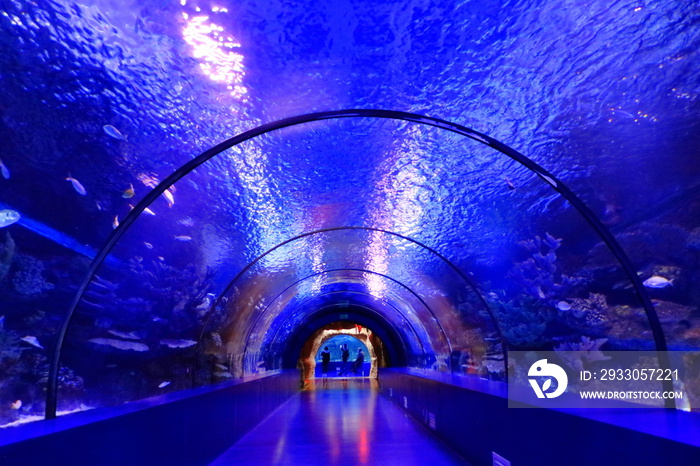 Tunnel in the Antalya aquarium, Turkey