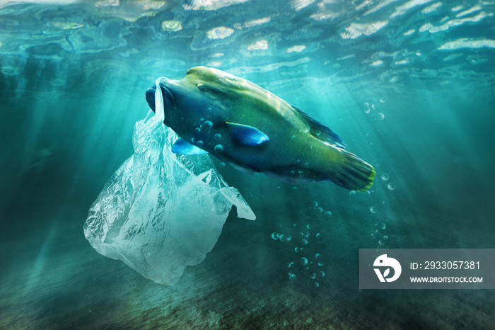 Plastic pollution in ocean environmental problem. Fish can eat plastic bags.