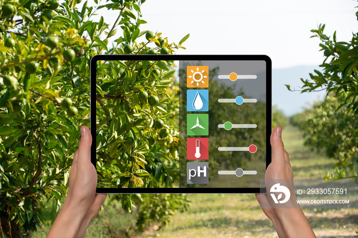 A farmer is holding a tablet on the background of a fruit tree. Smart farming and digital agriculture concept