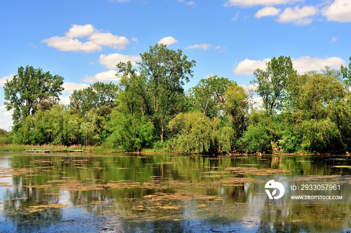 Pond on the grounds of a natural heritage farm reflecting its habitat and the clouds above. The site has been preserved as an 1880s farm as it would have looked then.