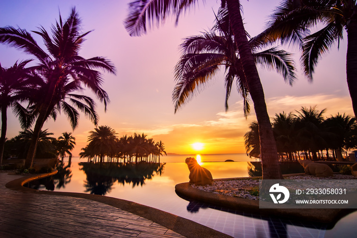 Beautiful sunset over the sea with a view at palms on the white beach