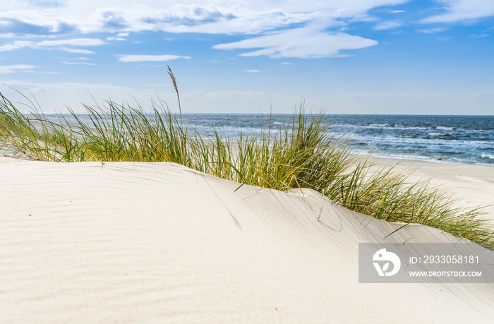 Pusta dzika plaża koło Mrzeżyna nad Bałtykiem w Polsce