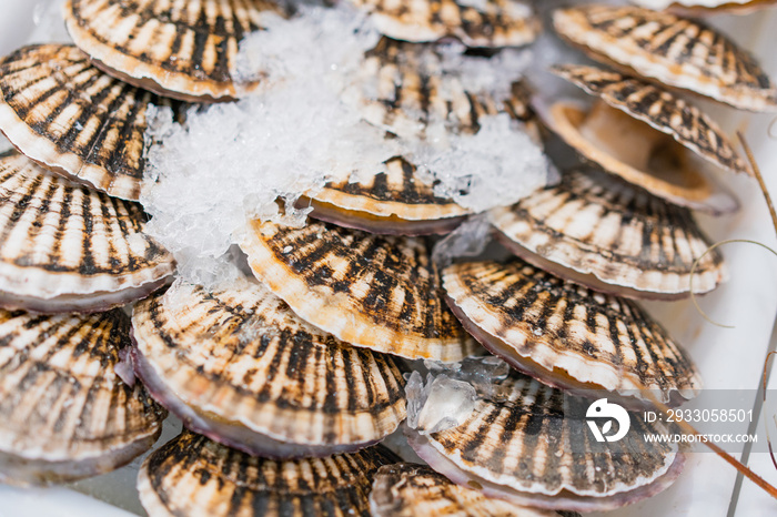 Seafood scallops in supermarkets