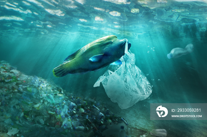 Plastic pollution in ocean environmental problem. Fish can eat plastic bags.