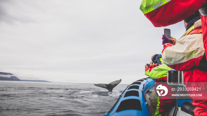 Tourists having fun at whale watching boat in Iceland