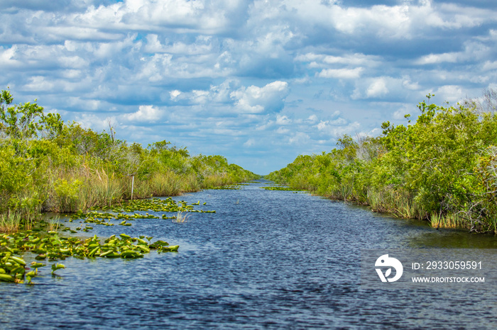 Everglades National Park. Swamps of Florida. Big Cypress National Preserve. Florida. USA.