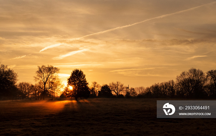 Golden hour winter sunrise with fog