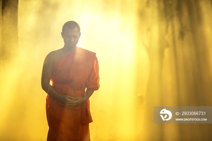 Monk walking in temple meditating under a tree at Bangkok,buddhist temple in Thailand