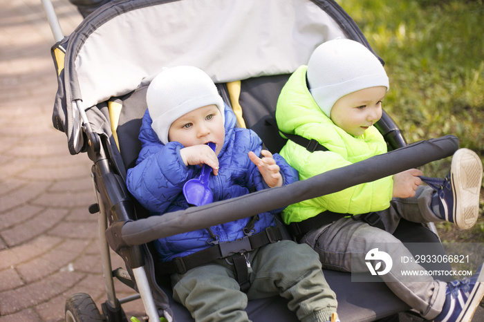 Twins in a pram in the park