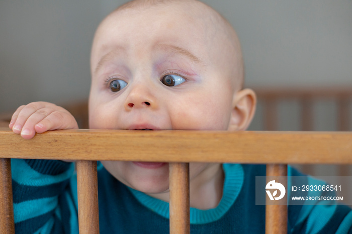 A six moths year old baby boy staying in a baby wooden play yard playpen  scratching gums with wooden crossbar to help in baby teething  helping relieve sore gums and massaging gums, playing alone